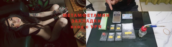 ПСИЛОЦИБИНОВЫЕ ГРИБЫ Алексин