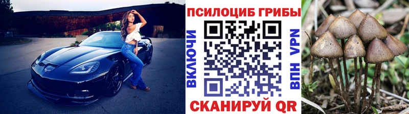 Псилоцибиновые грибы мицелий  как найти наркотики  Буй 